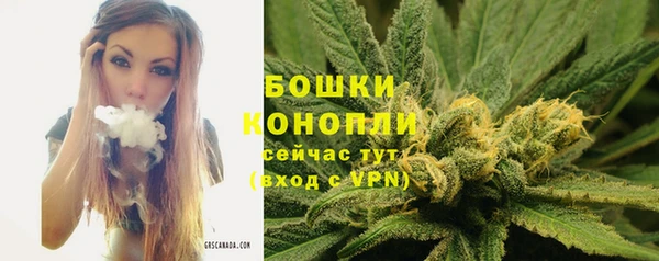 гидропоника Белокуриха